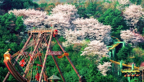 Book Everland Seoul Tickets 2023 | Seoul Theme Parks